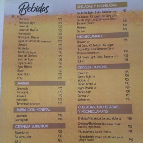 WhatsApp Image 2019-03-12 at 3.08.54 PM